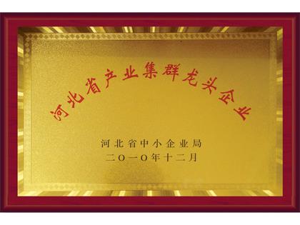 2010年領頭企業(yè)